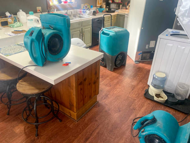 Best Flooded house restoration  in West Mifflin, PA