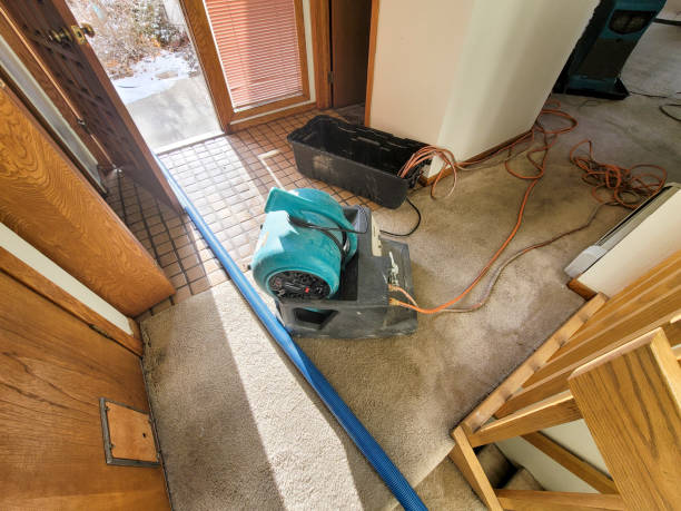 Best Water damage restoration experts  in West Mifflin, PA