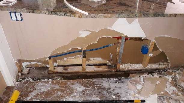 Best Water damage contractors near me  in West Mifflin, PA