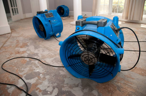 Best Flooded house restoration  in West Mifflin, PA