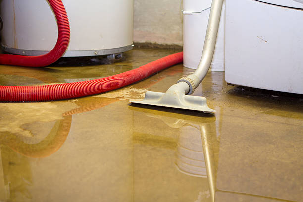 Best Flood restoration services  in West Mifflin, PA