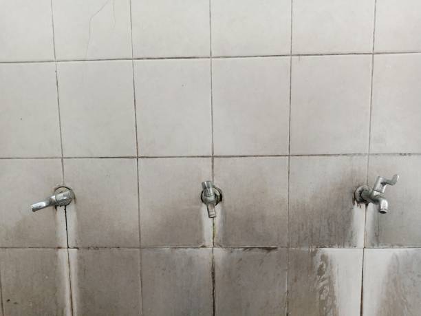 Best Flood damage cleanup  in West Mifflin, PA