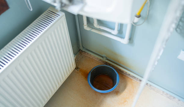 Best Professional water damage repair  in West Mifflin, PA