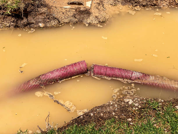 Best Water damage restoration near me  in West Mifflin, PA